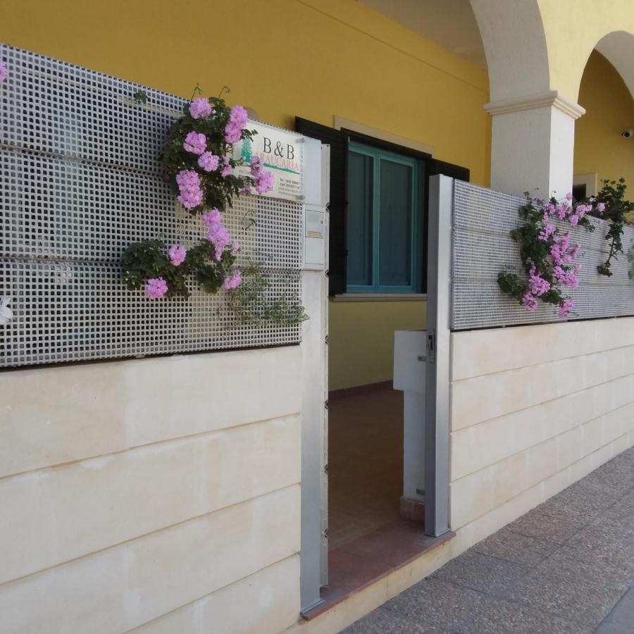 Bed and Breakfast Araucaria Torre San Giovanni Ugento Zewnętrze zdjęcie