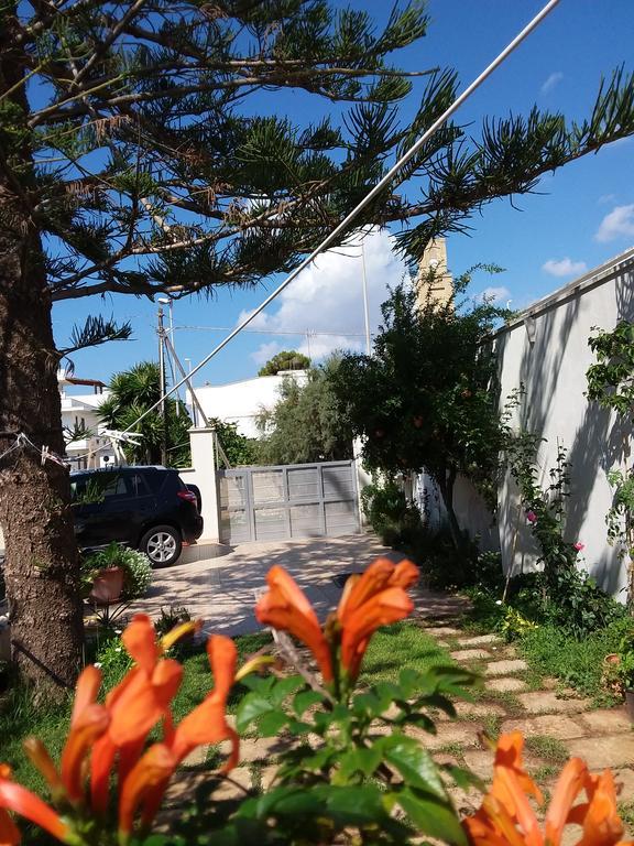Bed and Breakfast Araucaria Torre San Giovanni Ugento Zewnętrze zdjęcie